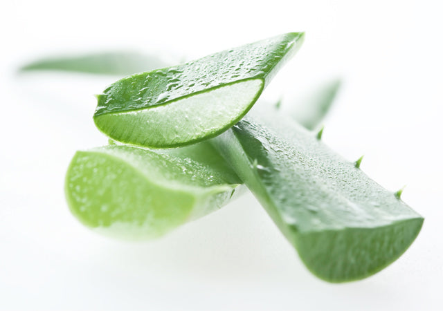 Aloe Vera: Nature's Hidden Treasure
